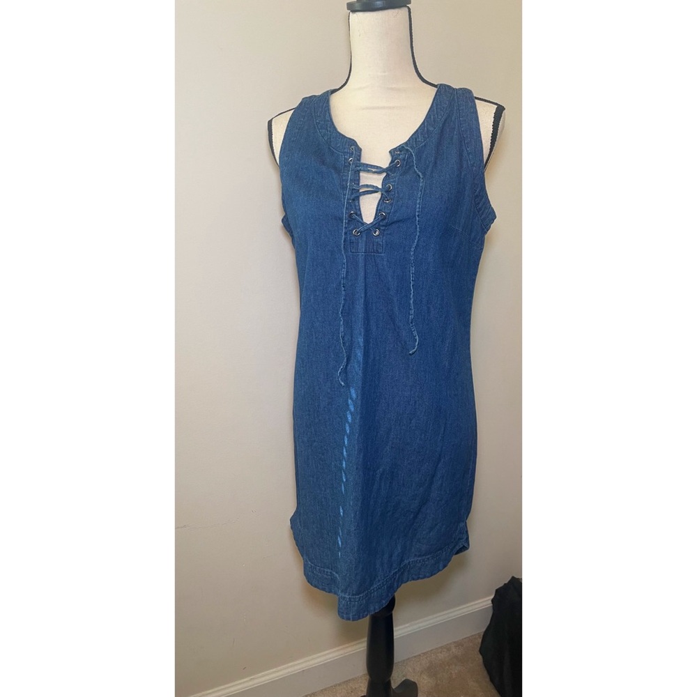 Harmony + havoc denim dress